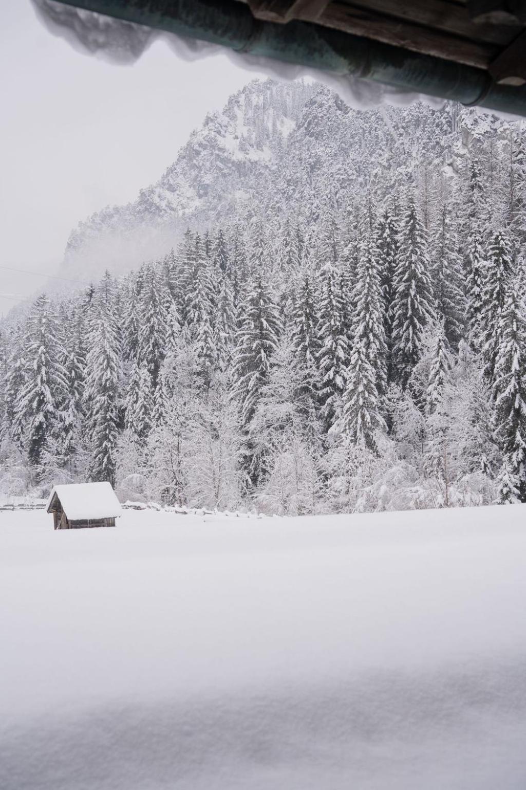 Fruehstueckspension Auer - Haus Kargl Schladming Exteriör bild
